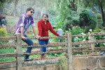 Chilipi Allarilo Chinni Aasa Movie New Stills - 17 of 25