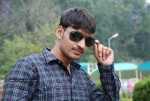Chilipi Allarilo Chinni Aasa Movie New Stills - 24 of 25