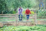 Chilipi Allarilo Chinni Aasa Movie New Stills - 25 of 25