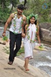China Chiru Sinna Paraviagal Tamil Movie Stills - 38 of 47