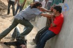 Cricket Girls and Beer Movie Gallery - 77 of 102