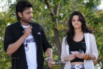 Daggaragaa Doorangaa Movie New Stills - 41 of 58