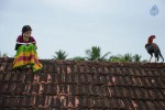 Dagudumutha Dandakor Movie New Photos - 12 of 53