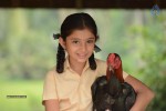 Dagudumutha Dandakor Movie New Photos - 27 of 53