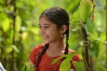 Dagudumutha Dandakor Movie New Photos - 34 of 53