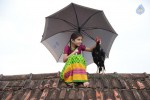 Dagudumutha Dandakor Movie New Photos - 37 of 53