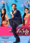 Dammu Movie Latest Wallpapers - 19 of 56