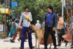 Devadas Style Marchadu Movie New Stills - 215 of 294