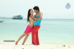 Devaraya Movie New Stills - 35 of 84