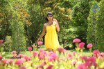 Devaraya Movie New Stills - 36 of 84