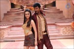Dheerudu Movie New Stills - 14 of 14