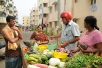 Dhoni Movie Latest Stills - 76 of 86