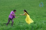 Don Seenu Movie Stills - 17 of 74