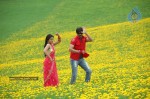 Don Seenu Movie Stills - 32 of 74