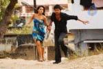 Dopidi Movie Stills - Trisha, Vijay - 7 of 24