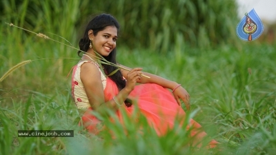 Dosham Movie Poster And Stills - 7 of 16