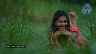 Dosham Movie Poster And Stills - 16 of 16