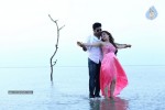 Dr Saleem Stills n Posters - 10 of 18