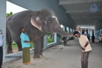 Eppothum Raja Tamil Movie Photos - 46 of 54