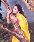 Flora Saini Stills in Akasamlo Sagam - 11 of 14