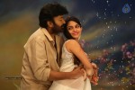 Gaddam Gang Movie Gallery - 23 of 47
