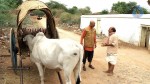 Gantala Bandi Movie Stills - 39 of 24