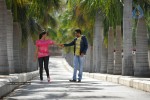 Gola Gola Movie New Stills - 17 of 25