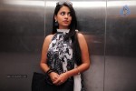 Golden Chance Movie Stills and Walls - 158 of 251