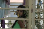 Golden Chance Movie Stills and Walls - 173 of 251