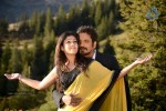 Greeku Veerudu Movie New Stills - 20 of 59