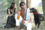 Gudu Gudu Gunjam Movie Stills - 29 of 60