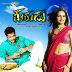 Gurudu Movie New Stills - 19 of 49