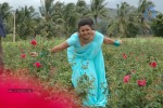Idhayam Thiraiarangam Tamil Movie Stills - 16 of 74