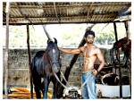 Irumbu Kuthirai Tamil Movie Stills - 30 of 48