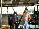 Irumbu Kuthirai Tamil Movie Stills - 34 of 48