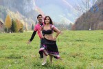Ishtam Tamil Movie Hot Stills - 84 of 84