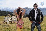 Ishtam Tamil Movie Hot Stills - 78 of 84