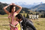 Ishtam Tamil Movie Hot Stills - 82 of 84