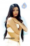 Italy Abbai Kerala Ammai Movie Hot Stills - 1 of 8