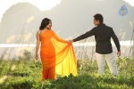 Jabardasth Movie Stills n Walls - 20 of 38