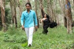 Jabardasth Movie Stills n Walls - 38 of 38