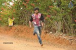 Jadoogadu Movie Stills n Walls - 2 of 51
