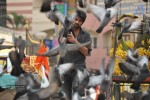 Jadoogadu Movie Stills n Walls - 4 of 51