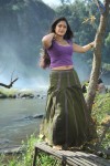 Jakkamma Tamil Movie Hot Stills - 35 of 70
