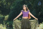 Jakkamma Tamil Movie Hot Stills - 42 of 70