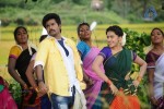 Kaaki Sattai Tamil Movie New Photos - 92 of 90