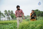 Kaalicharan Movie Stills - 1 of 11