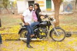 Kakatiyudu Movie Stills and Wallpapers - 24 of 93