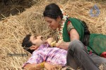 Kakatiyudu Movie Stills and Wallpapers - 70 of 93