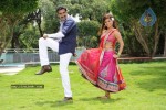 Kakatiyudu Movie Stills and Wallpapers - 40 of 93